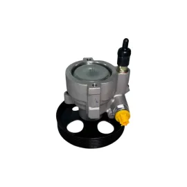 Насос ГУР Nissan Interstar/Primastar / Citroen C5 / Opel Movano/Vivaro / Renault Clio/Espace/Kangoo/Laguna