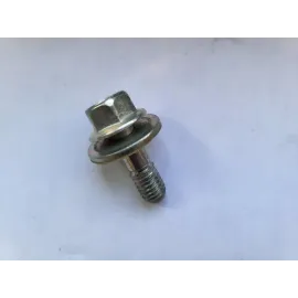 Болт петлі двері Ланос Авео 200-250 GM 94500943