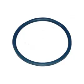 Кольцо уплотнительное топливного насоса Chery Tiggo T11-1106611