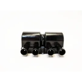 Катушка зажигания Чери Тиго Chery Tiggo SMW250131