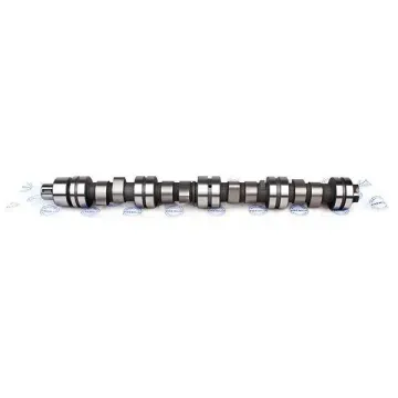 Розподільний вал Чері Амулет Chery Amulet 480EE-BJ1006015