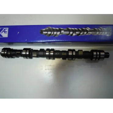 Распредвал Чери Амулет Chery Amulet Ae 480EE-BJ1006015