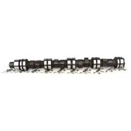 Розподільний вал Чері Амулет Chery Amulet Freccia 480EE-BJ1006015