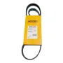 Ремень генератора Чери Амулет Chery Amulet MOGEN A11-3701315BA