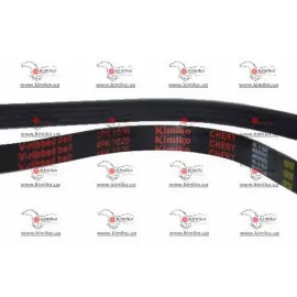 Ремінь гідропідсилювача і кондиціонера Chery Jaggi Dayco S21-8104051BA