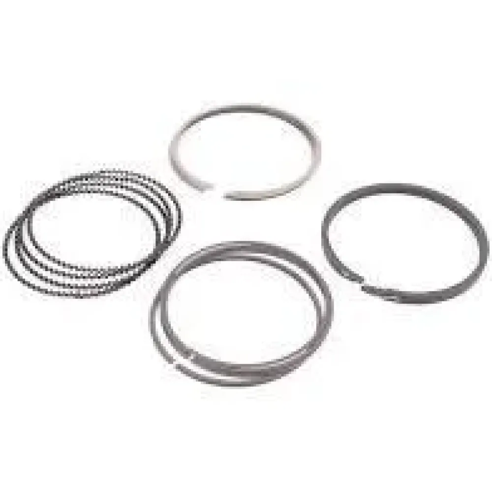 Кільця поршневі 0,25 Чері Елара Chery Elara Chery 484J-1004030BA