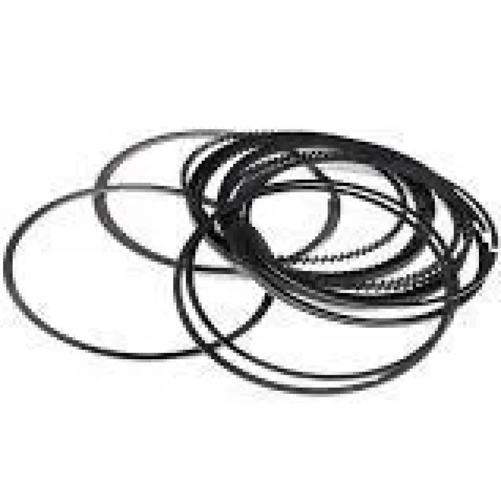 Кольца поршневые CHERY ELARA/FORA/EASTAR STD Лицензия 484J-1004030