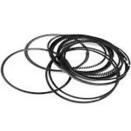 Кольца поршневые CHERY ELARA/FORA/EASTAR STD Лицензия 484J-1004030