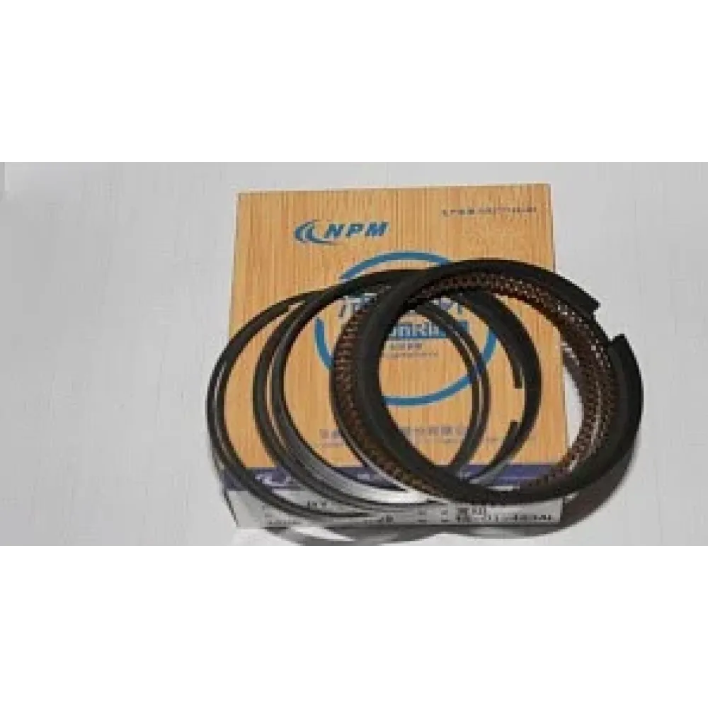 Кільця поршневі стандарт 73 мм 1.5 БІД Ф-3 BYD F-3 NPM 473QA-1004021