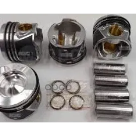 Поршня дизель STD комплект Great Wall Wingle 2.0 4D20/Haval H5 NPM 1004400-ED01