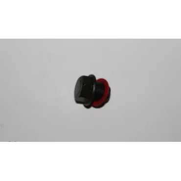 Пробка масляного поддона Чери Амулет Chery Amulet Лицензия 480-1009014