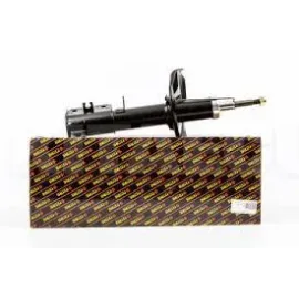Амортизатор передній правий Чері Істар Chery Eastar FITSHI B11-2905020